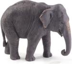 Mojo Figurina Mojo Wildlife - Elefantul asiatic (387266) Figurina