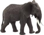 Mojo Figurina Mojo Wildlife - Elefant african (387189) Figurina