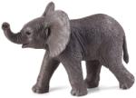 Mojo Fiigurina Mojo Wildlife - Elefant african (387002) Figurina