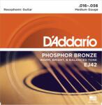 D'Addario EJ42 - muziker