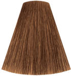 Londa Professional hajfesték 6/73