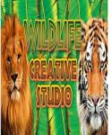 Alternative Software The Wildlife Creative Studio (PC)