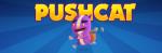 Zut Games Pushcat (PC)