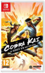 Maximum Games Cobra Kai The Karate Kid Saga Continues (Switch)