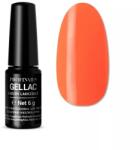 Profinails gel lac LED/UV lakkzselé 6gr No. 088