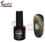 Master Nails Master Nails Zselé lakk 6ml Magnetic 02
