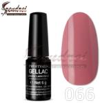 Profinails gel lac LED/UV lakkzselé 6gr No. 066