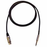 Bespeco IROMA450