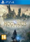 Warner Bros. Interactive Hogwarts Legacy (PS4)