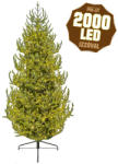 DekorTrend Fairy Light 210 cm - micro LED-es világítással (KFB 171)