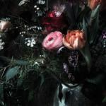 Komar Fototapet mural Still Life, 368 x 254 cm 8-999 (425267)