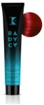 K-time Radyca Tartós Hajfesték Szilikon és PPD mentes 100ml 8.6