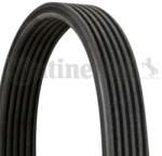 Continental Ctam Curea transmisie cu caneluri CONTINENTAL CTAM 6DPK1841 (6DPK1841) - automobilus