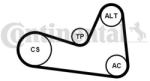 Continental Ctam Set curea transmisie cu caneluri CONTINENTAL CTAM 6PK1200K1 (6PK1200K1) - automobilus