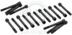 ELRING Set surub, chiulasa ELRING 709.310 (709.310)