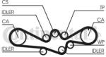 Continental Ctam Set curea de distributie CONTINENTAL CTAM CT1050K1 (CT1050K1) - automobilus