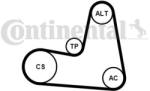 Continental Ctam Set curea transmisie cu caneluri CONTINENTAL CTAM 7PK1125K1 (7PK1125K1) - automobilus