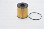 Bosch filtru combustibil BOSCH 1 457 431 704 (1 457 431 704) - automobilus