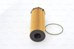 Bosch Filtru ulei BOSCH F 026 407 066 (F 026 407 066) - automobilus