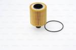 Bosch Filtru ulei BOSCH F 026 407 067 (F 026 407 067) - automobilus