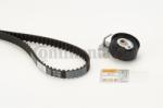 Continental Ctam Set curea de distributie CONTINENTAL CTAM CT1066K1 (CT1066K1) - automobilus