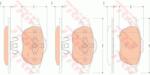 TRW set placute frana, frana disc TRW COTEC GDB1823 (GDB1823)