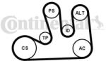 Continental Ctam Set curea transmisie cu caneluri CONTINENTAL CTAM 5PK1750K1 - automobilus