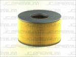 JC PREMIUM Filtru aer JC PREMIUM B22079PR (B22079PR) - automobilus