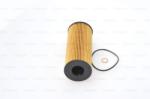 Bosch Filtru ulei BOSCH F 026 407 072 (F 026 407 072) - automobilus