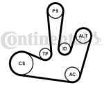 Continental Ctam Set curea transmisie cu caneluri CONTINENTAL CTAM 6PK1795K1 (6PK1795K1) - automobilus