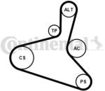 Continental Ctam Set curea transmisie cu caneluri CONTINENTAL CTAM 6DPK1195K2 (6DPK1195K2) - automobilus
