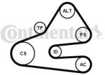 Continental Ctam Set curea transmisie cu caneluri CONTINENTAL CTAM 6PK1613K1 (6PK1613K1) - automobilus