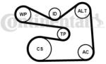 Continental Ctam Set curea transmisie cu caneluri CONTINENTAL CTAM 6PK1733K3 (6PK1733K3) - automobilus