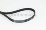 Continental Ctam Curea transmisie cu caneluri CONTINENTAL CTAM 6PK976 (6PK976) - automobilus