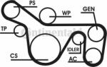 Continental Ctam Set curea transmisie cu caneluri CONTINENTAL CTAM 6PK1720D1 (6PK1720D1) - automobilus