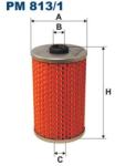 FILTRON filtru combustibil FILTRON PM 813/1 (PM 813/1) - automobilus