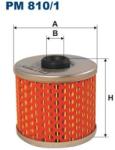 FILTRON filtru combustibil FILTRON PM 810/1 (PM 810/1) - automobilus