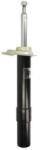 Magnum Technology amortizor Magnum Technology AGB083MT (AGB083MT) - automobilus