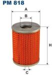 FILTRON filtru combustibil FILTRON PM 818 (PM 818) - automobilus