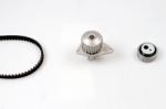 HEPU Set pompa apa + curea dintata HEPU PK08131 (PK08131) - automobilus