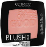 Catrice Blush Box Catrice Blush Box 025 Nude Peach