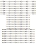  Bareta leduri LG 70inch 8x6led+8x4led+8x6led set 24buc (M-13338)
