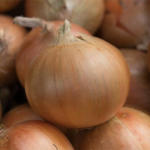 Syngenta Baruso F1 250.000 szem