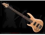 ESP LTD B-204sm Ns Lh