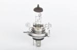 Bosch Bec incandescent BOSCH Trucklight H4 24V 1 987 302 441 (1 987 302 441)