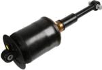 SACHS amortizor SACHS 317 325 (317 325) - automobilus