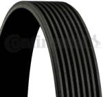Continental Ctam Curea transmisie cu caneluri CONTINENTAL CTAM 8PK1755 (8PK1755) - automobilus