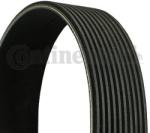 Continental Ctam Curea transmisie cu caneluri CONTINENTAL CTAM 10PK1768 (10PK1768) - automobilus
