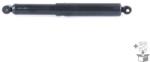 MONROE amortizor MONROE MAGNUM Axle T1255 (T1255)