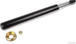 Herth+buss Jakoparts amortizor HERTH+BUSS JAKOPARTS J4300901 (J4300901) - automobilus